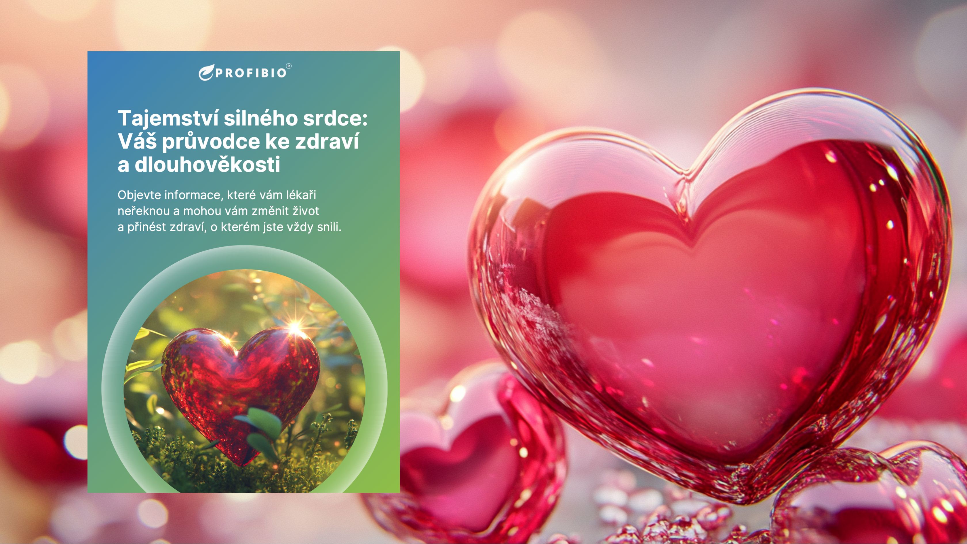 EBOOK SRDCE